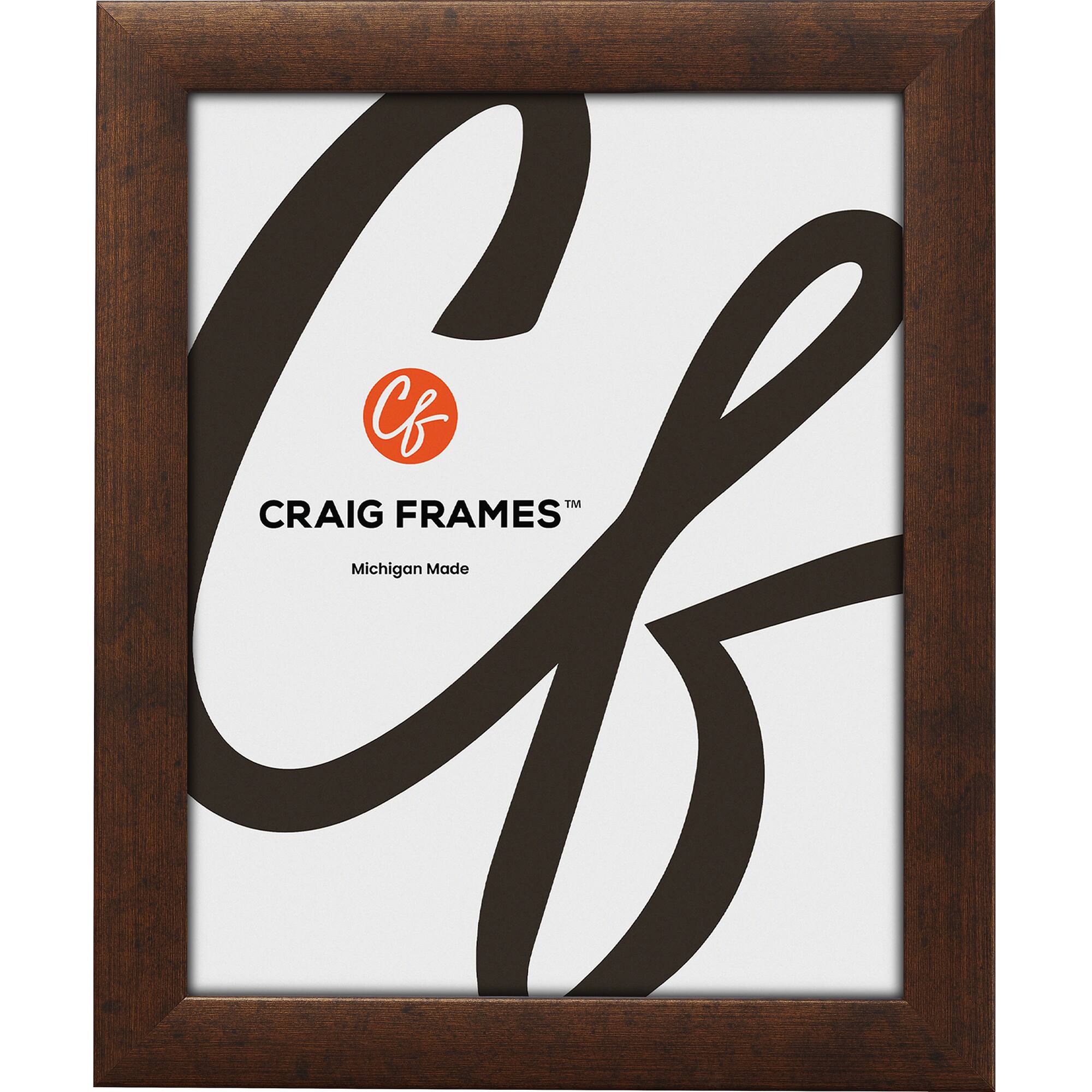 Pack Craig Frames Contemporary Rustic Copper Picture Frame